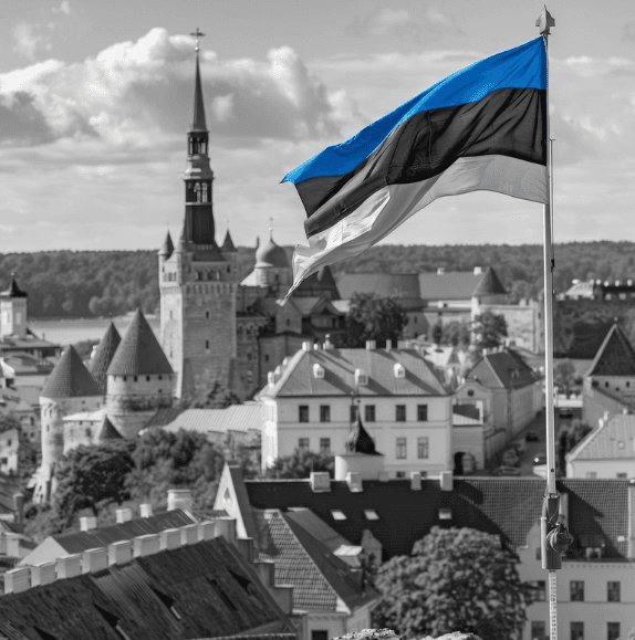 Why Estonia? The Real Answer