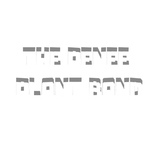 Renee Plant